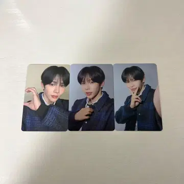 RIIZE 쇼타로 popup 6000엔 구매 혜택 랜트레 3장 세트