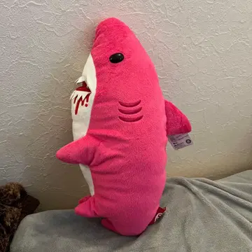 척스 GP 하라페코 상어