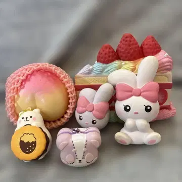 스퀴즈 Bloom 6개 세트