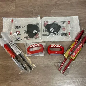 LDH PERFECT YEAR 2020 LIVE 굿즈 2세트