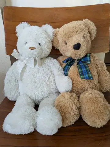 테디베어 봉제 인형 2체 세트