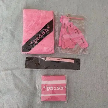 pnish 파니쉬 4주년 굿즈 세트