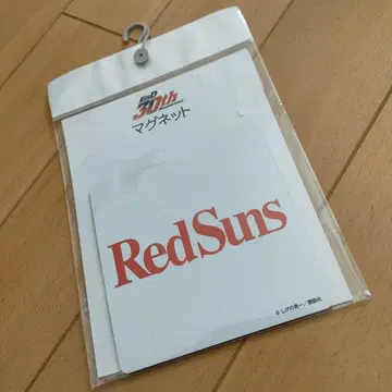 이니셜 D 30주년 시마무라 마그넷 타카하시 료스케