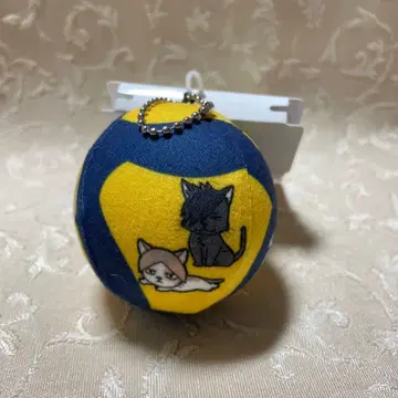 하이큐!! x MIKASA 공 참 네코마 고교 시마무라