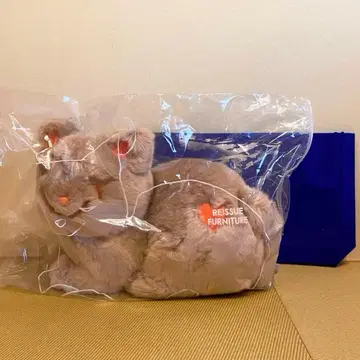 요네즈켄시 리이슈 고양이 그랑데 애프리콧 새상품