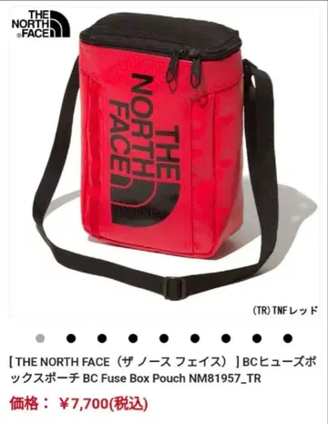 THE NORTH FACE 숄더백