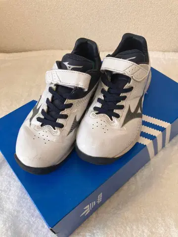 Mizuno 트레이닝 슈즈 21.5 JP 미즈노 트레이닝화