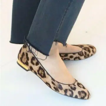 두지엠 클라세 발단 BALDAN 36