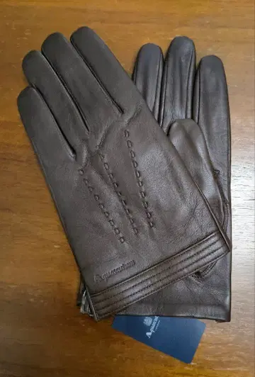 아쿠아 스큐텀 새상품 남성용 가죽 그로브 (D 브라운 25)