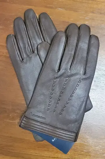 아쿠아 스큐텀 새상품 남성용 가죽 그로브 (D 브라운 25)