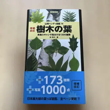 나무의 잎 실물 스캔으로 구별하는 1300종류 이미지 검색