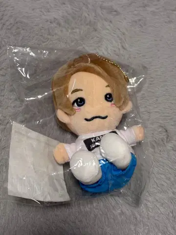 마사카도 요시노리 치비 누이