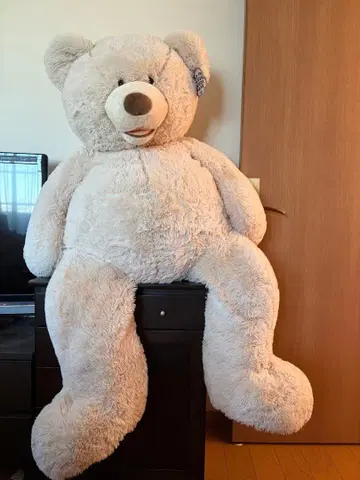코스트코 HUGFUN 플러시 테디베어 PLUSH TEDDY BEAR