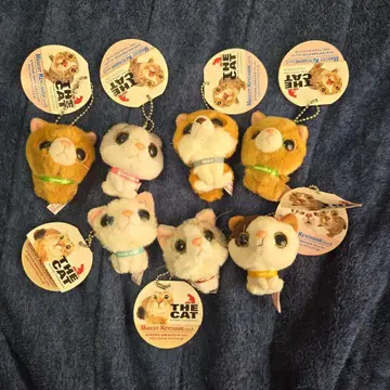 고양이 THE CAT 스트랩 세트