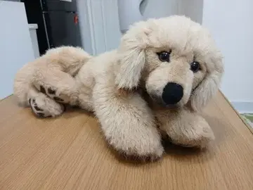 Kosen  골든 리트리버 봉제 인형 중고