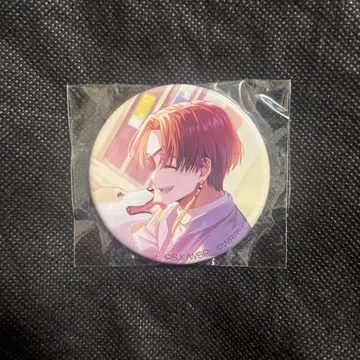 WIND BREAKER 윈브레 애니메이션 재팬 소우비 슌페이 캔뱃지