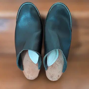 마스미츠 켄타로 사보