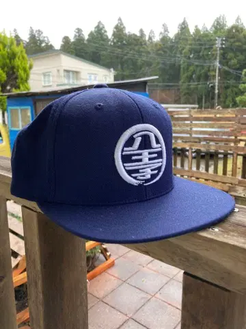 하치오지 리폼 캡