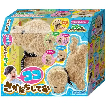 세가 페이 코코 거꾸로 서서 애프리콧