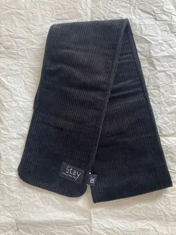 BTS BE 머플러 정국 jungkook Stay