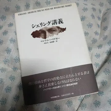 셸링 강의 마르틴 하이데거 저 신서관