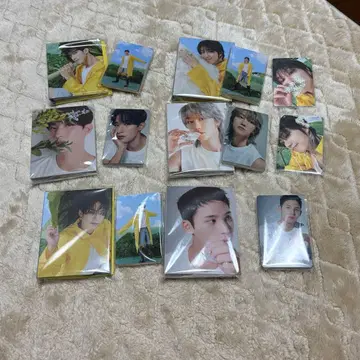 seventeen carat반 쿠치즈 세트