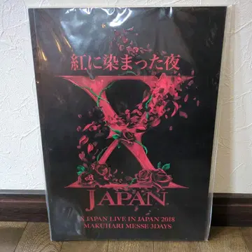 XJAPAN 붉게 물든 밤 엑스재팬 팜플렛 굿즈 라이브