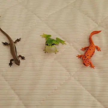 캡슐 토이 도마뱀 개구리 도롱뇽 마그넷