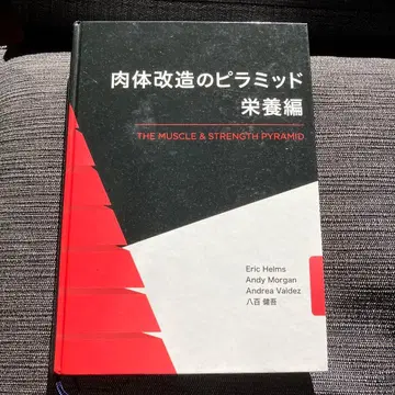 신체 개조의 피라미드 영양편