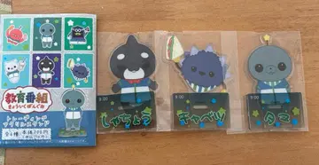 교육 방송 트레이딩 아크릴 스탠드 사장님 양배추 타마