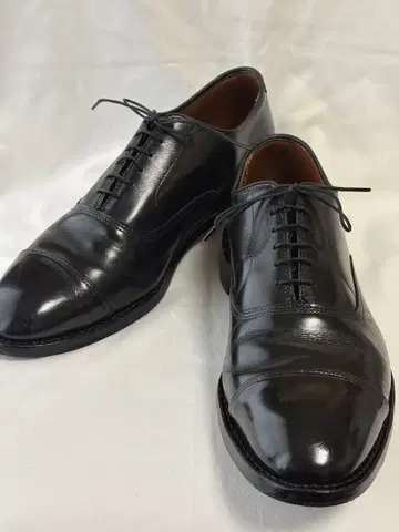 Allen Edmonds Park Avenue 10D