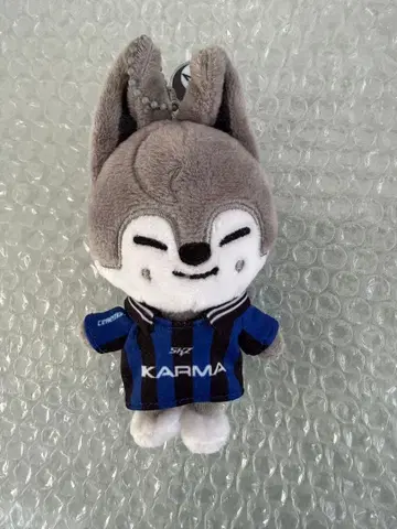 StrayKids KARMA skzoover. 울프찬