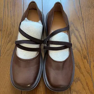 귀여운 짙은 갈색 신발 루즈 삭스와 함께