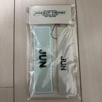 SEVENTEEN 준 와펜 세트