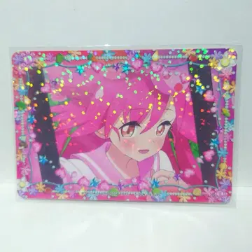 마법의 에이프런 레이디 주얼 반려동물 모모나