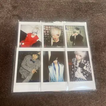 자아자아 영야 폴라로이드 4