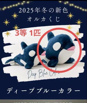 스마 씨 스마 씨 월드 오르카 복권 3등 딥 블루 오르카 범고래