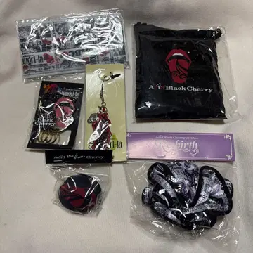 Acid Black Cherry 굿즈 6종 세트