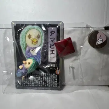 내부 가방 미개봉 대백괴 괴귀록 아마비에