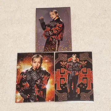 야마모토 쇼고 시크릿 포토 카드 세트