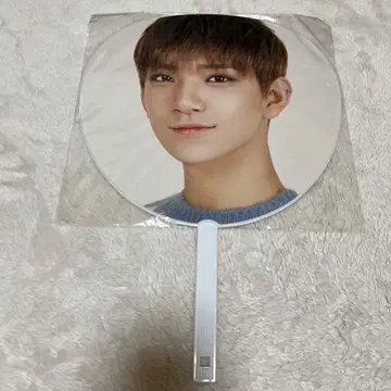 SEVENTEEN Joshua 부채