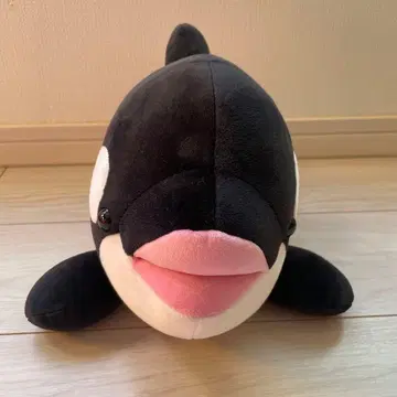 범고래 봉제 인형 3등