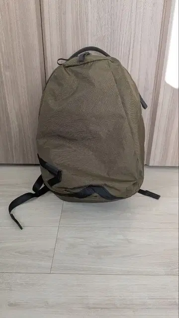 데일리 플러스 에이블 칼리 데일리플러스