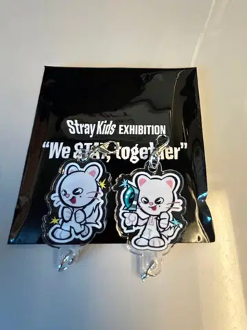 straykids EXHIBITION 연결 2세트 지니레트