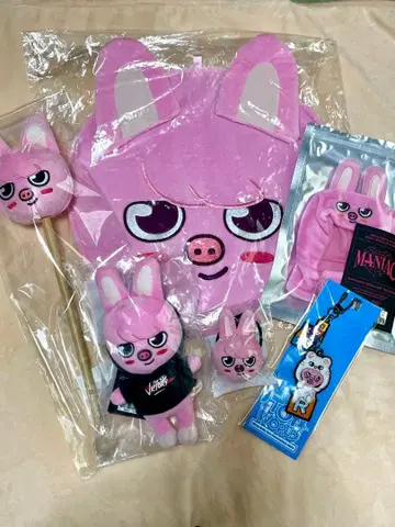 skzoo 창빈 부채 케이스 미니 봉제 인형 펜라 커버 외 묶음 판매