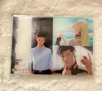 섬광의 하사웨이 아크릴 플레이트