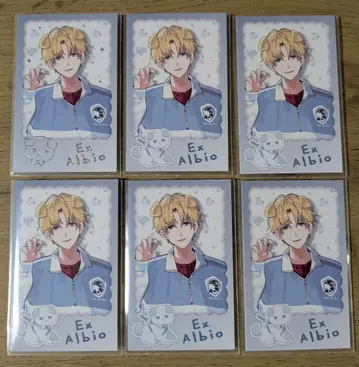 [ 완냥days vol.2 ] 랜덤 폴라로이드풍 카드 엑스 알비오