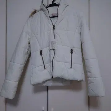 택 포함 리즈리사 다운