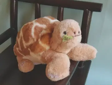 요시토쿠 거북이 봉제 인형