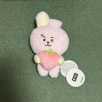 BT21 COOKY 후르츠 봉제 인형 M 사이즈